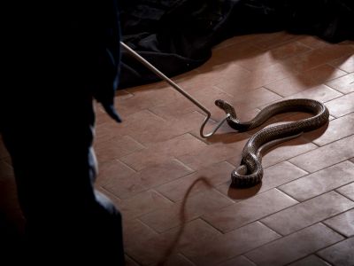 Prevent Property Damage!